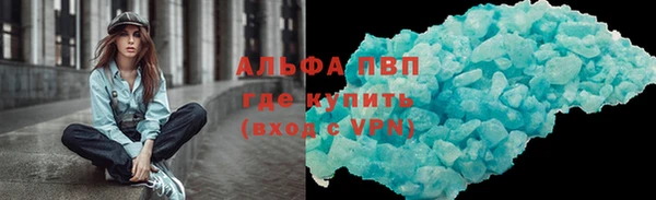 прущие грибы Абинск