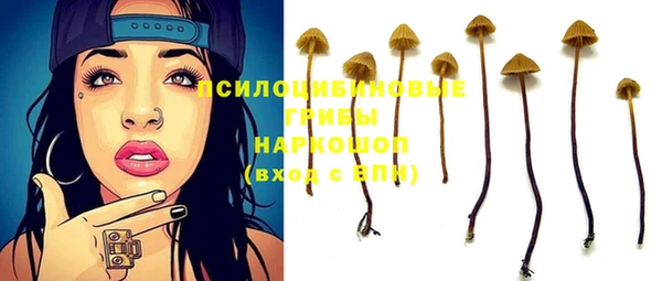 a pvp Абдулино