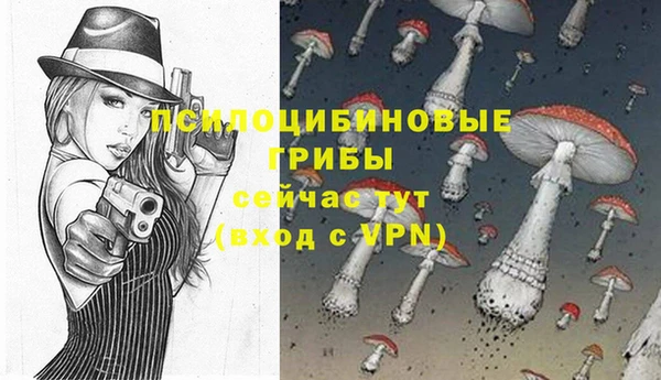 прущие грибы Абинск
