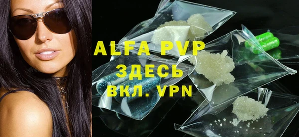 прущие грибы Абинск