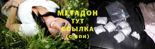 прущие грибы Абинск